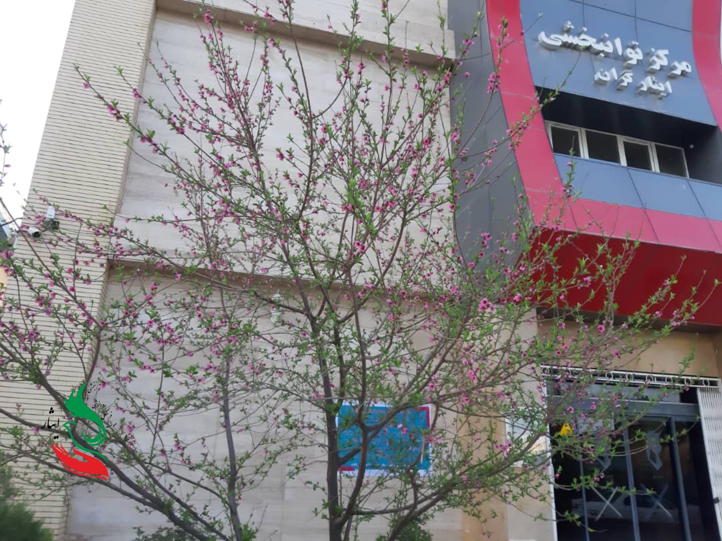 گزارش تصویری از طبیعت بهاری موسسه ایثار ایلام